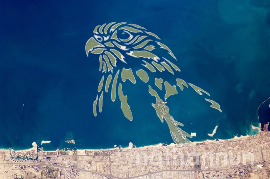 A falcon drawn to be made to look like islands in the sea.