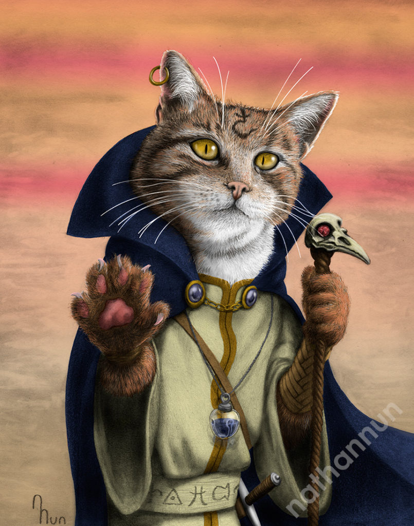 Sorcerer Cat - part of my adventure cat series based on classic fantasy and d&d classes
