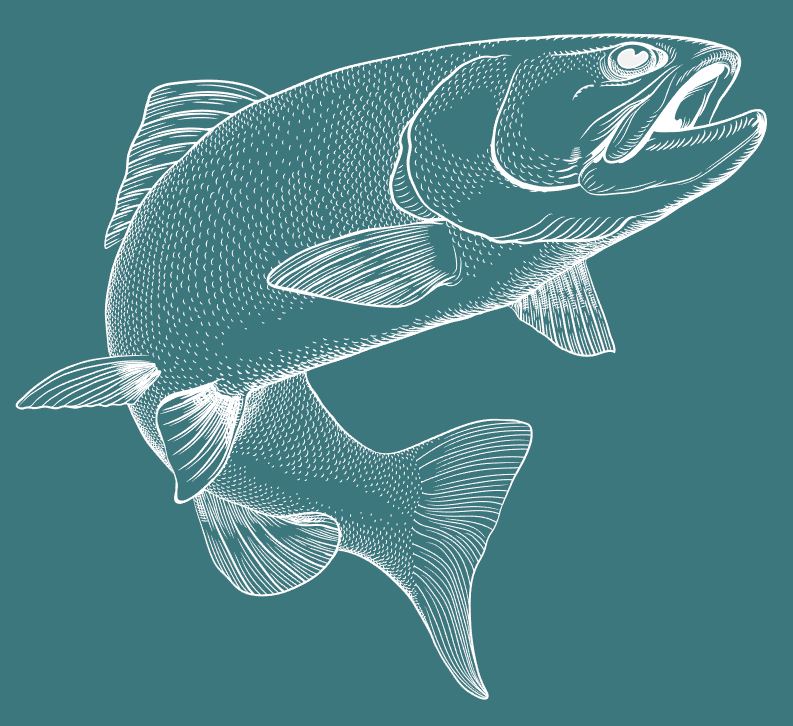 Illustration of a fish for grocery store seafood section wall.