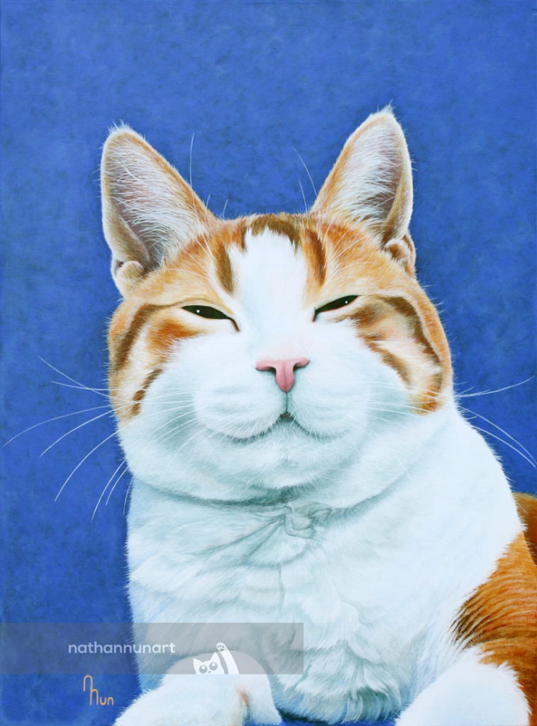 Portrait of Joey the Cat