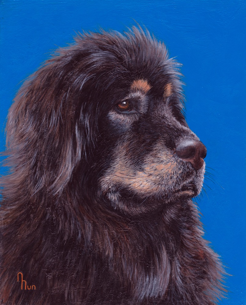 Portrait of a Tibetan mastiff