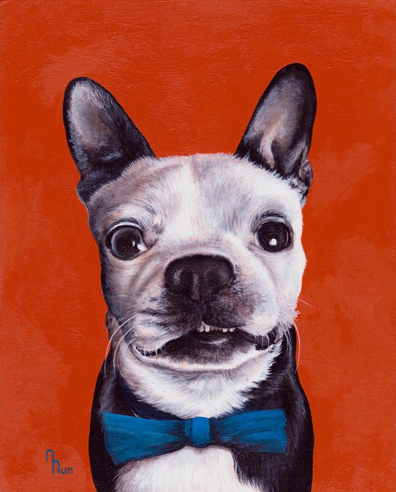 Portrait of a Boston Terrier, 8x10 acrylic.